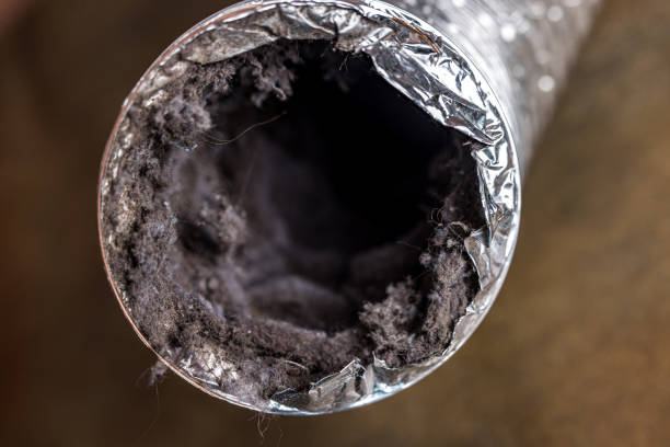 Best Air Duct Mold Removal  in Lincoln Beach, OR